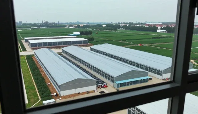 高空防腐工程设计的成果转化路径与行业趋势